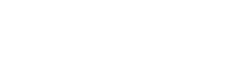 THE DEBYNSKI CODE