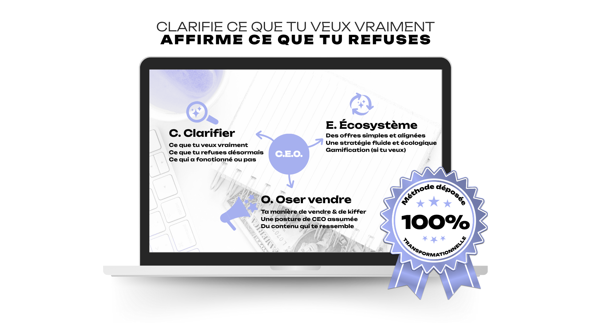 DEBYNSKI - mockup THE FRAMEWORK CEO TM (3)