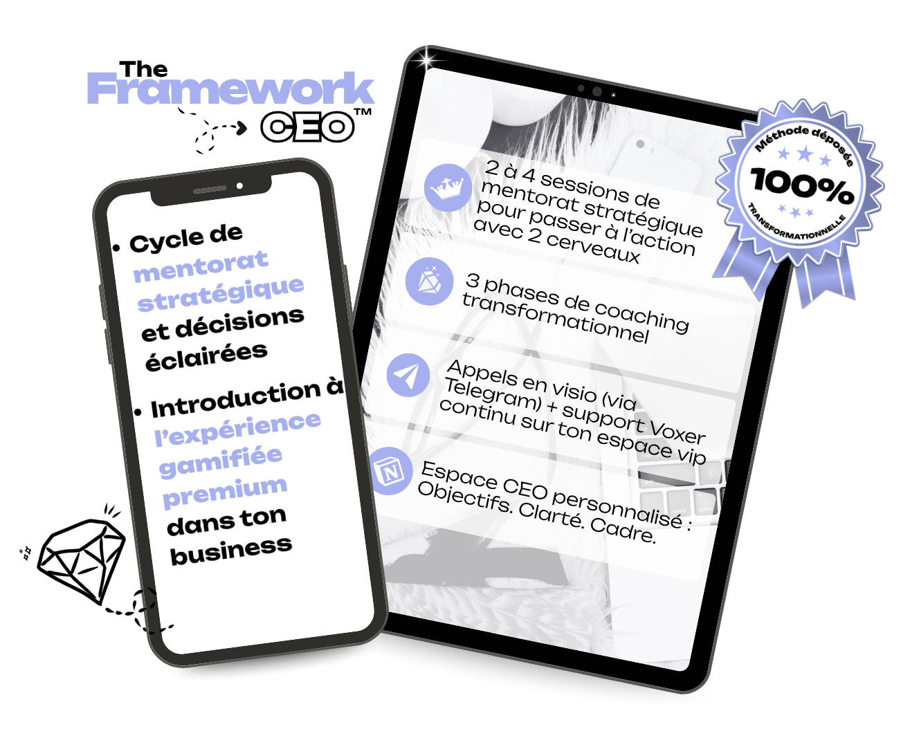 DEBYNSKI - mockup THE FRAMEWORK CEO TM (4)