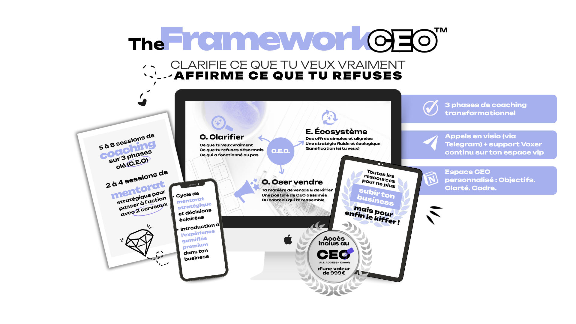 DEBYNSKI - mockup THE FRAMEWORK CEO TM